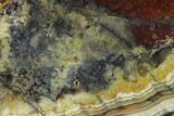 Polished Crazy Lace Agate Slab - Mexico #150535-1